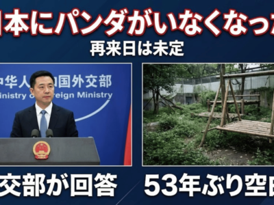 外交部が「日本にパンダがいなくなった」に回答 53年ぶり空白期、再来日は未定