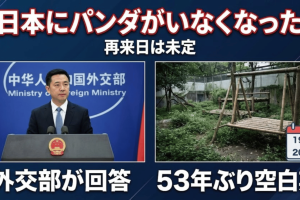 外交部が「日本にパンダがいなくなった」に回答 53年ぶり空白期、再来日は未定