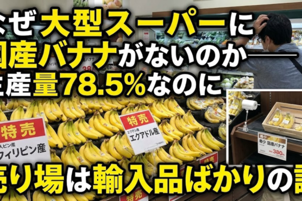 なぜ大型スーパーに国産バナナがないのか──生産量78.5%なのに売り場は輸入品ばかりの謎